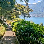 A Window On The Pognana Lario