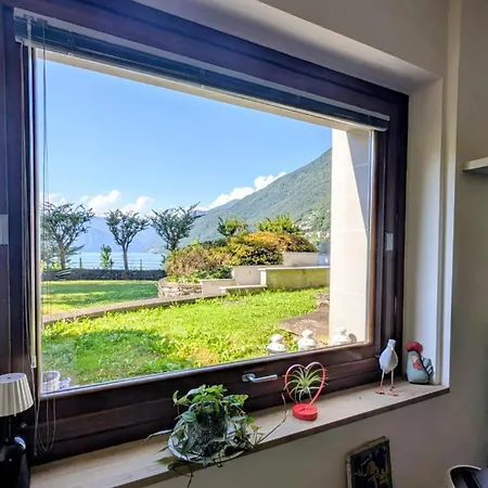 A Window On The Apartment *